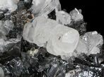 Sphalerite, Quartz, Calcite & Chalcopyrite Association - Bulgaria #41754-2